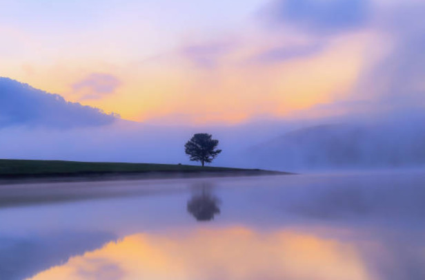 Free Online Photo Editing